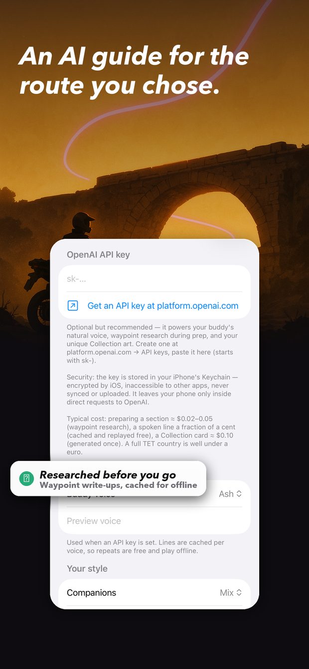 Voice and AI settings